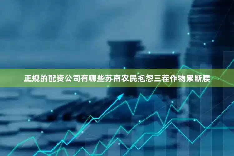 正规的配资公司有哪些苏南农民抱怨三茬作物累断腰