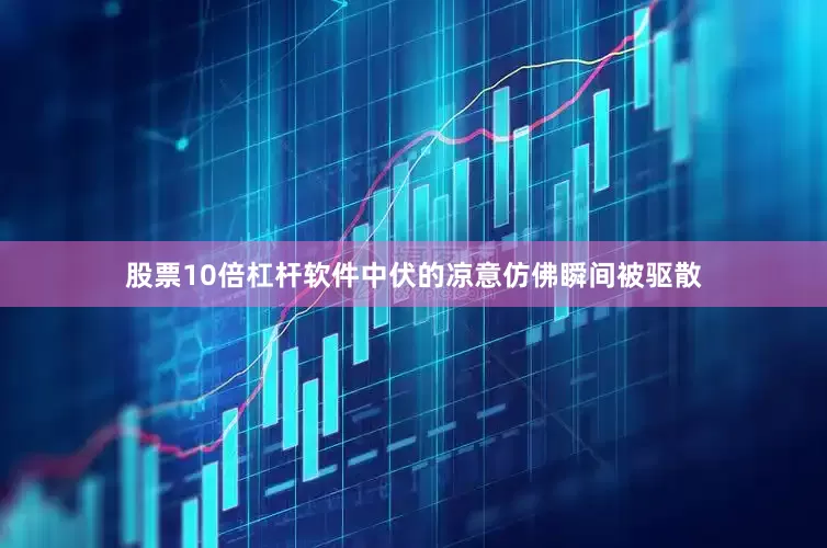 股票10倍杠杆软件中伏的凉意仿佛瞬间被驱散